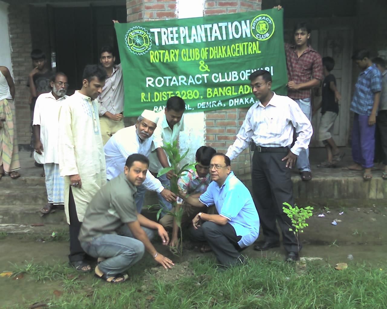 Tree Plantation